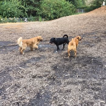 Oakhurst Dog Park photo 1